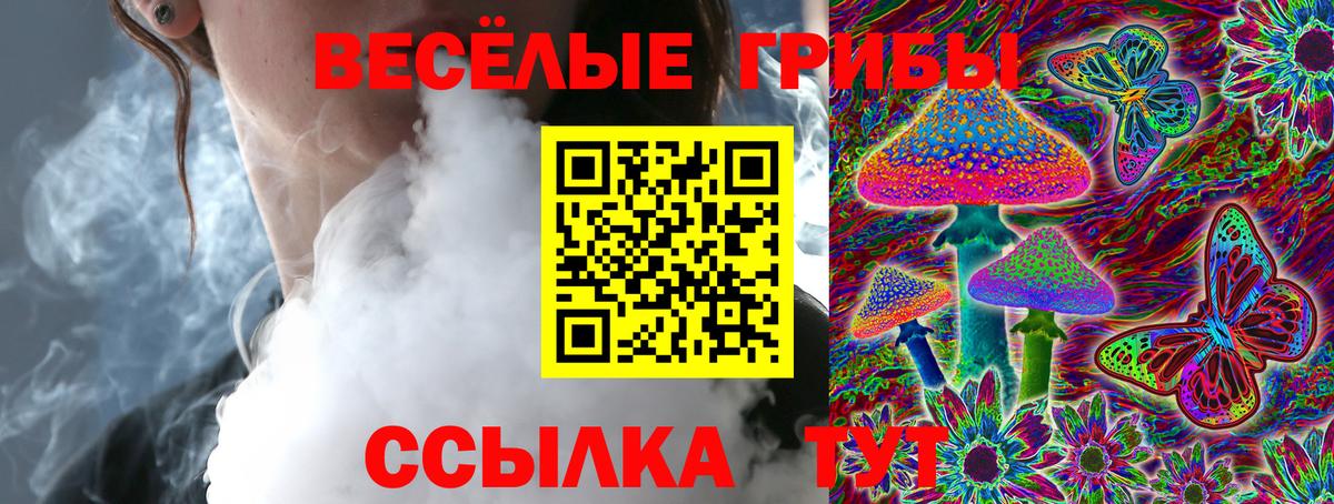 Галлюциногенные грибы Cubensis  Вход с VPN  Псилоцибиновые грибы мицелий  наркотики  Абакан 