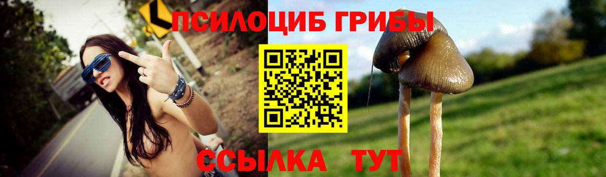 Галлюциногенные грибы MAGIC MUSHROOMS Абакан
